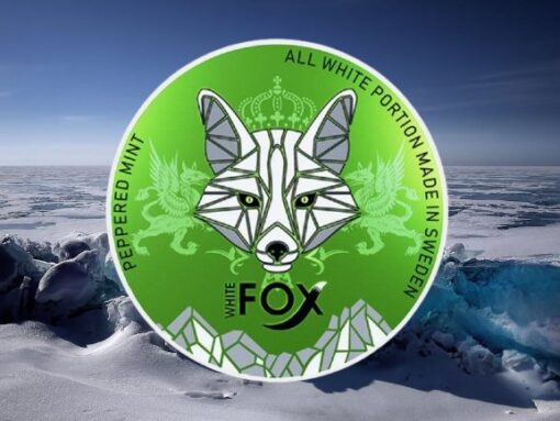 Buy White Fox Nicotine Pouches PEPPERED MINT